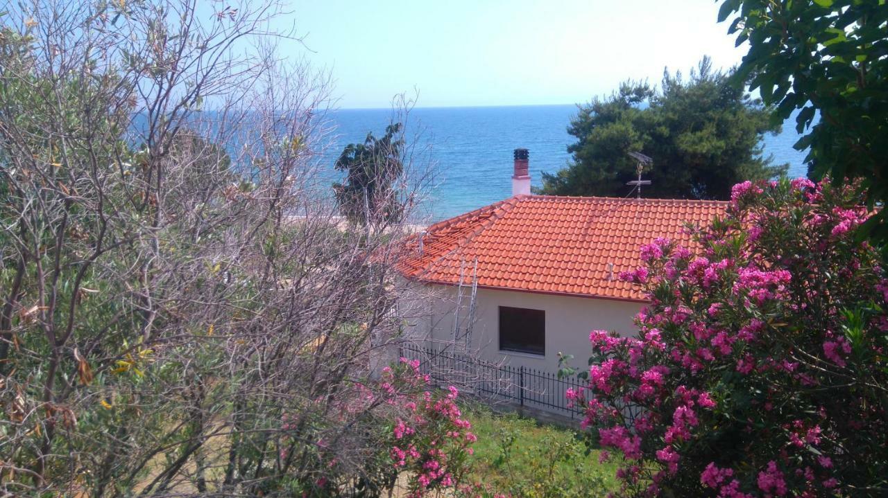 Maisonette Close To The Beach Nikiti  Eksteriør billede